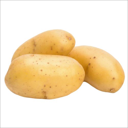 Fresh Potato