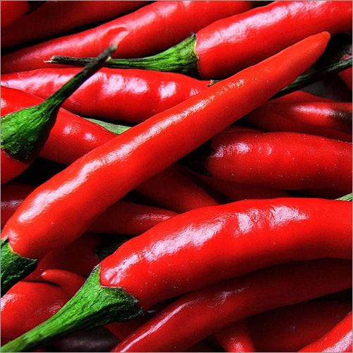 Fresh Red Chilli