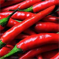 Fresh Red Chilli